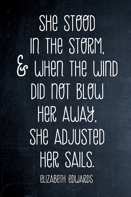 she stood in the storm