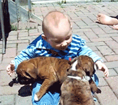 babies and puppies 12