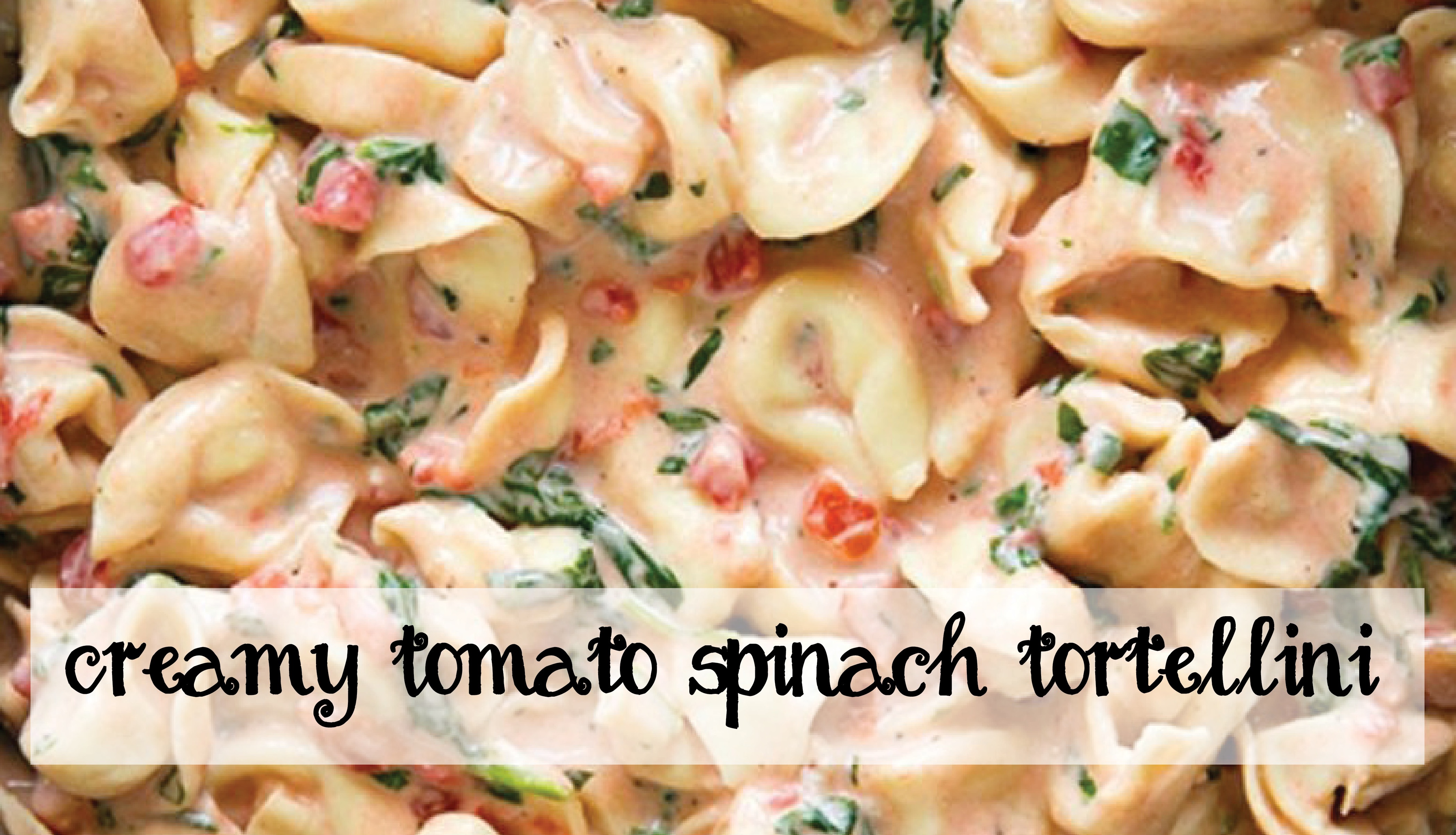 creamy tomato spinach tortellini