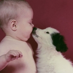 babies and puppies 13